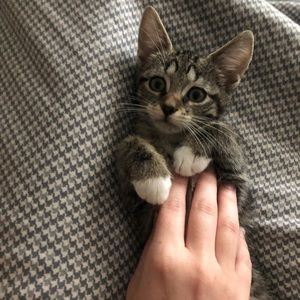 Meet your Posher, Abbi